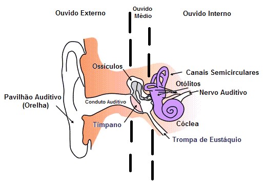 8 Causas de dores no ouvida uqe não tem origem no ouvido.